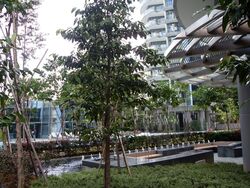 Cliveden At Grange (D10), Condominium #589836771